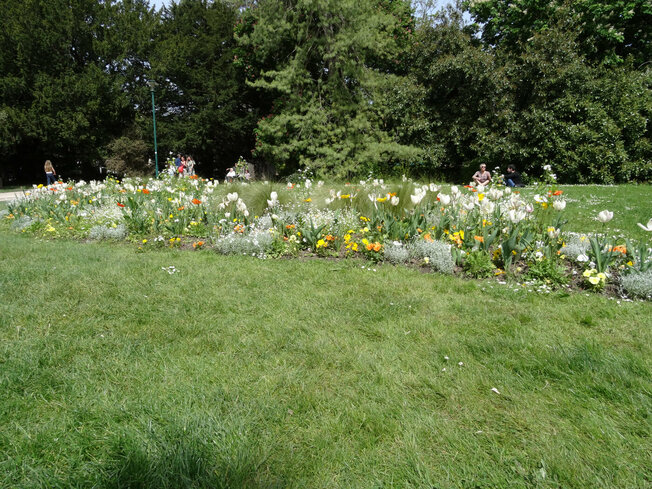 DSC06370