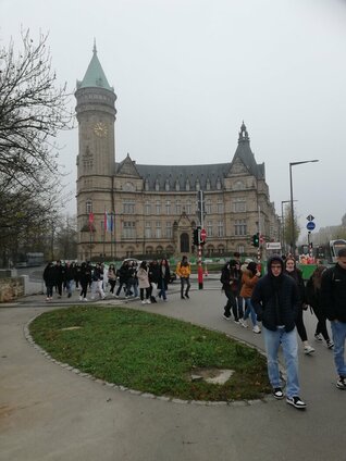 IMG_1_Lux