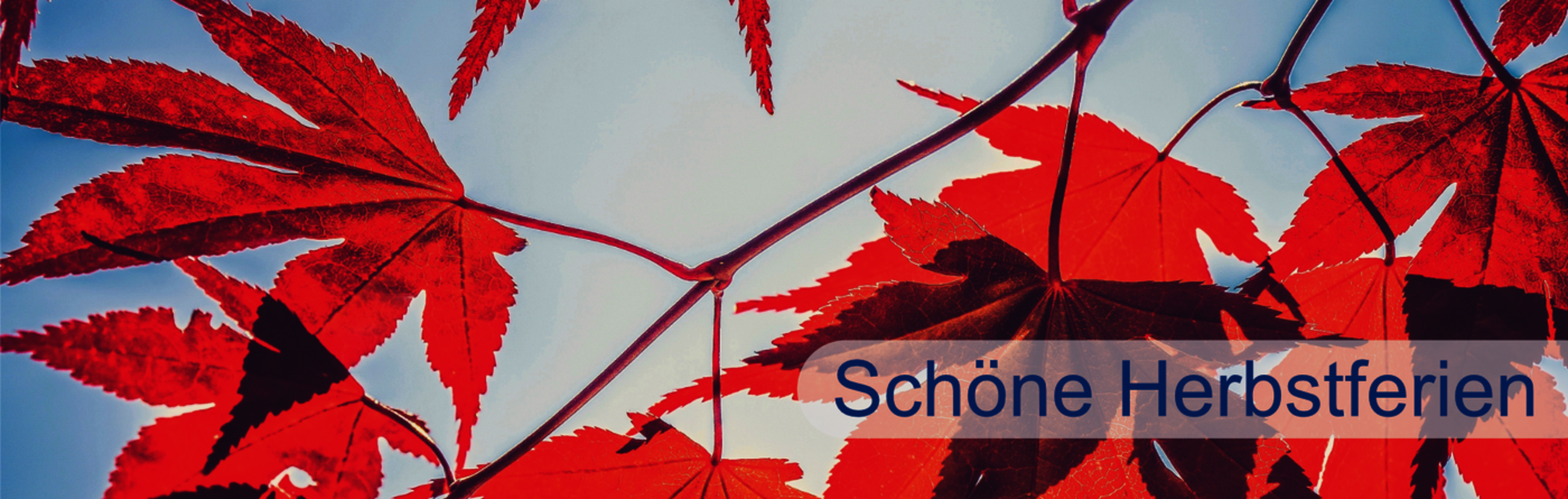 Scho__ne_Herbstferien